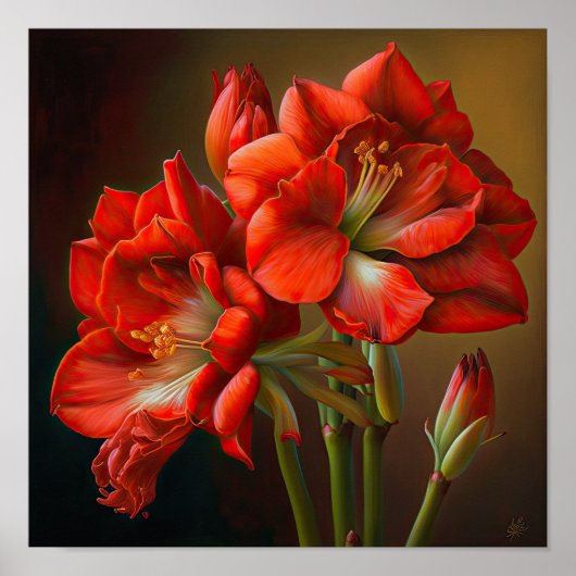 Red Amaryllis Flower Art Print Poster (Voorkant)