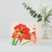 Red Amaryllis Flower Briefkaart (Staand voorkant)