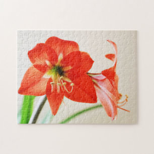 Red Amaryllis Flower Legpuzzel