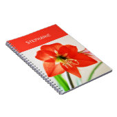 Red Amaryllis Flower Notitieboek (Rechterzijde)