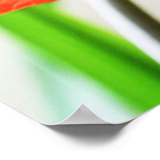 Red Amaryllis Flower Poster (Hoek)