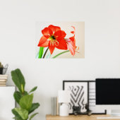 Red Amaryllis Flower Poster (Thuiskantoor)