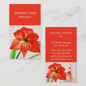 Red Amaryllis Flower Visitekaartje (Voorkant / Achterkant)