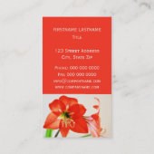 Red Amaryllis Flower Visitekaartje (Achterkant)