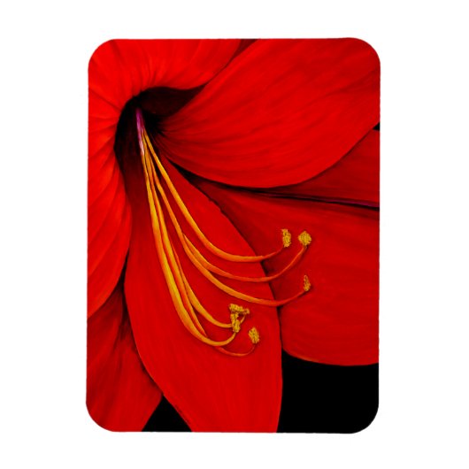 Red Amaryllis Magneet (Verticaal)