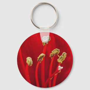 Red Amaryllis Sleutelhanger