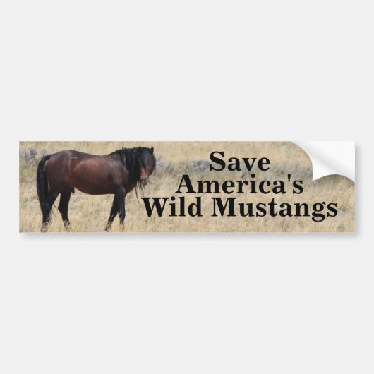 Red Amerika's Wild Mustangs Bumpersticker (Voorkant)