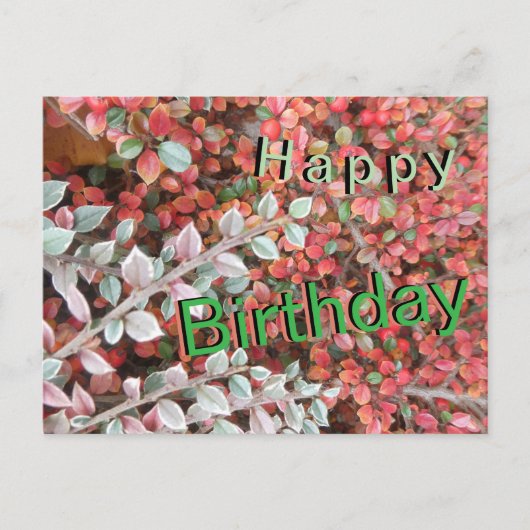 Red and Green Leaves Cust. Happy Birthday Postcard Feestdagenkaart (Voorkant)