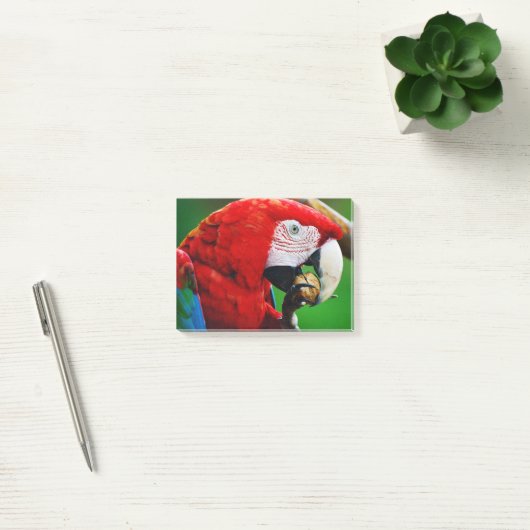 Red-and-green Macaw Post-it® Notes (Kantoor)