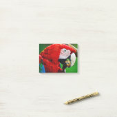 Red-and-green Macaw Post-it® Notes (Op bureau)