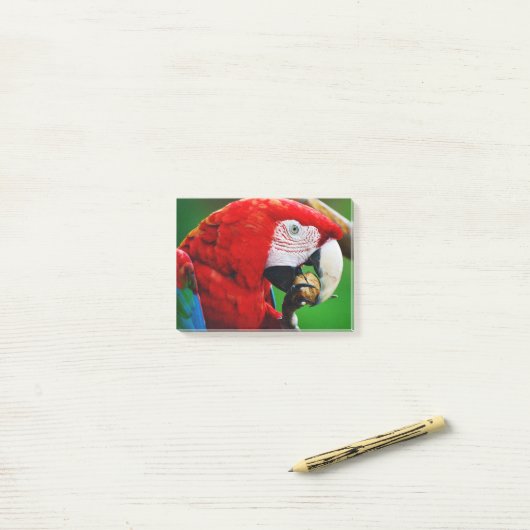 Red-and-green Macaw Post-it® Notes (Op bureau)