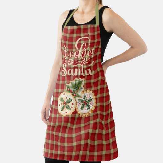 Red and Tan Plaid Cookies for Santa Schort (Insitu)