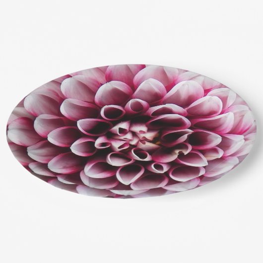 Red and White Ball Dahlia Floral Papieren Bordje (Gekanteld)
