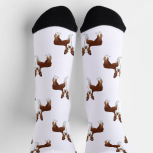 Red and White Boston Terrier Cartoon Dog Pattern Sokken