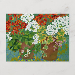 Red and white geraniums in pots 2013 briefkaart