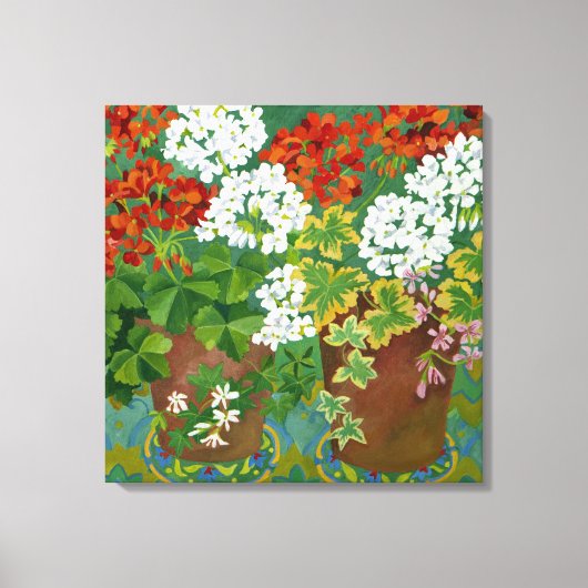 Red and white geraniums in pots 2013 canvas afdruk (Voorkant)