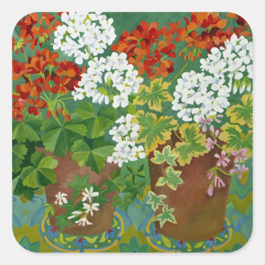 Red and white geraniums in pots 2013 vierkante sticker (Voorkant)