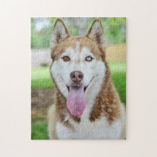 Red and White Husky Dog Legpuzzel