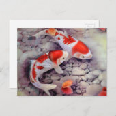 Red and White Koi Fish Pond Briefkaart (Voorkant / Achterkant)