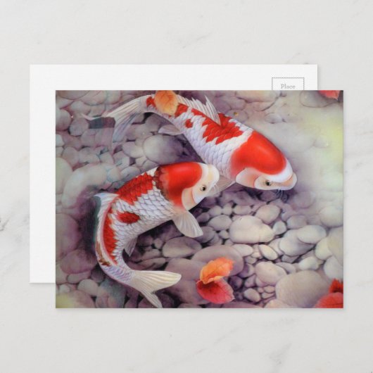 Red and White Koi Fish Pond Briefkaart (Voorkant / Achterkant)