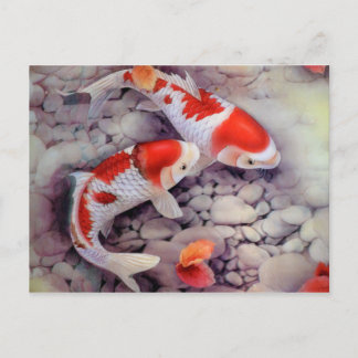 Red and White Koi Fish Pond Briefkaart