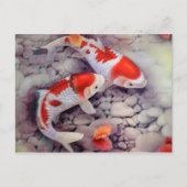 Red and White Koi Fish Pond Briefkaart (Voorkant)