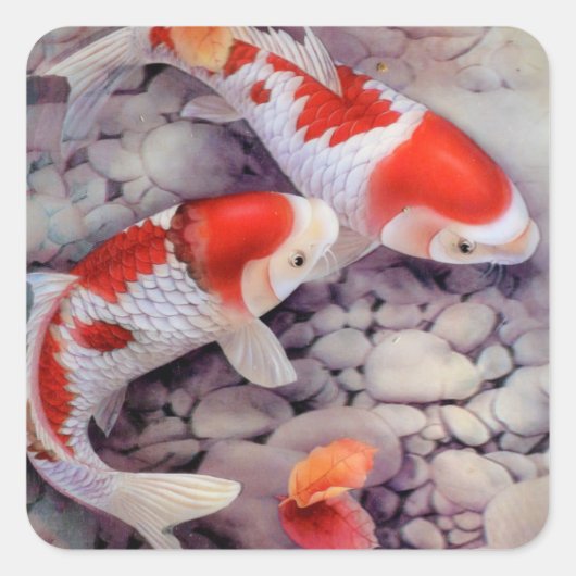 Red and White Koi Fish Pond Vierkante Sticker (Voorkant)