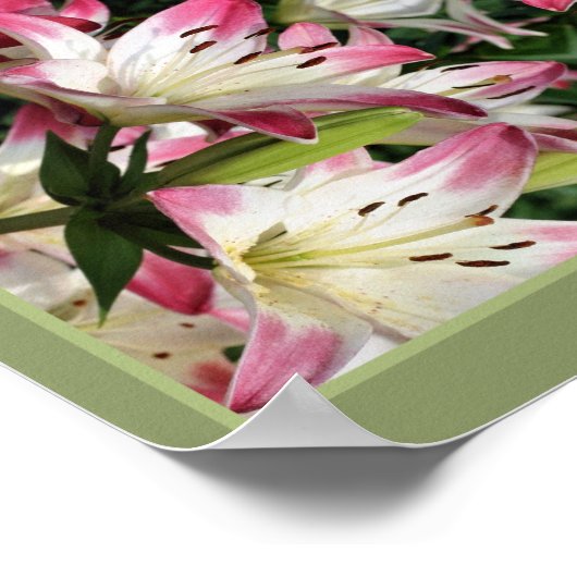 Red and White Lily Flowers Abstract Poster (Hoek)