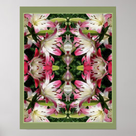 Red and White Lily Flowers Abstract Poster