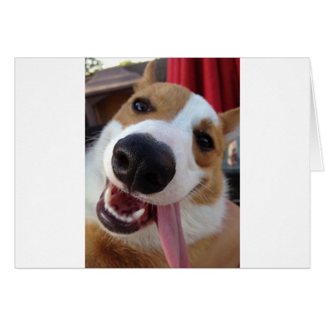 Red and White Pembroke Welsh Corgi (Voorkant Horizontaal)