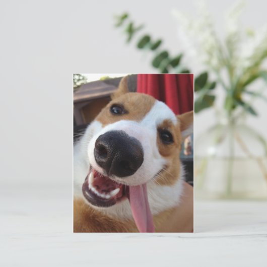 Red and White Pembroke Welsh Corgi Briefkaart (Staand voorkant)