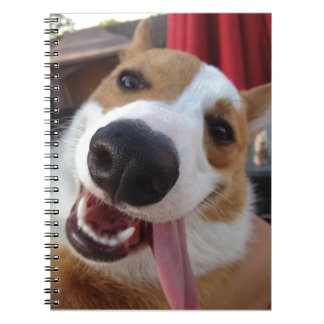Red and White Pembroke Welsh Corgi Notitieboek