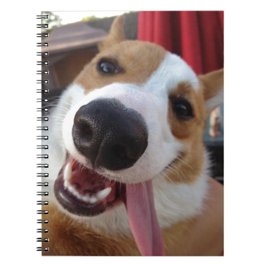 Red and White Pembroke Welsh Corgi Notitieboek (Voorkant)
