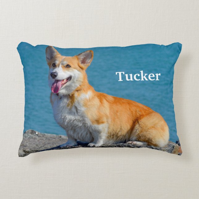 Red and White Pembroke Welsh Corgi Puppy Dog Accent Kussen (Voorkant)