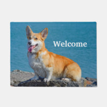 Red and White Pembroke Welsh Corgi Puppy Dog