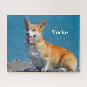 Red and White Pembroke Welsh Corgi Puppy Dog Jigsa Legpuzzel