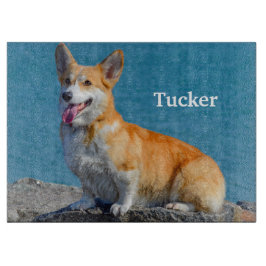 Red and White Pembroke Welsh Corgi Puppy Dog Snijplank