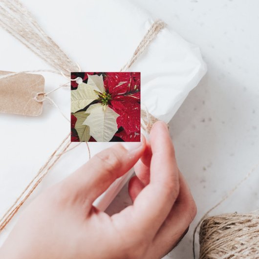 Red and White Variegate Poinsettia Holiday Bedankjes Labels