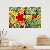 Red And Yellow Sea Star Poster (Keuken)