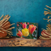 Red and Yellow Tulips Rock Garden Photo Fotoplaat (Zijkant)