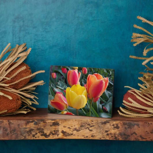 Red and Yellow Tulips Rock Garden Photo Fotoplaat (Zijkant)