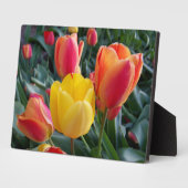 Red and Yellow Tulips Rock Garden Photo Fotoplaat (Zijkant)