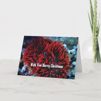 Red anemone and Anemone fish Feestdagen Kaart