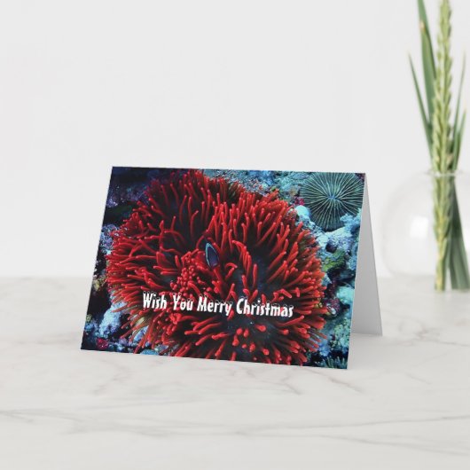 Red anemone and Anemone fish Feestdagen Kaart (Voorkant)