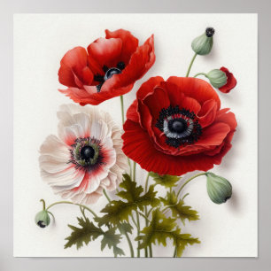 Red Anemone Flowers Art Print Poster