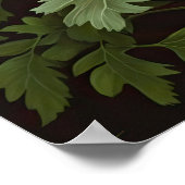 Red Anemone Flowers Art Print Poster (Hoek)