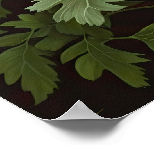 Red Anemone Flowers Art Print Poster (Hoek)