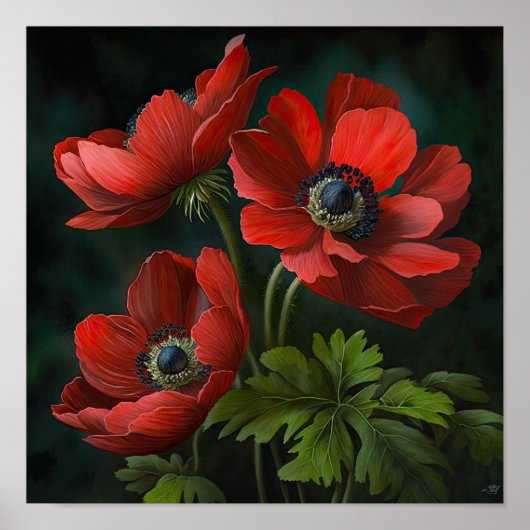 Red Anemone Flowers Art Print Poster (Voorkant)