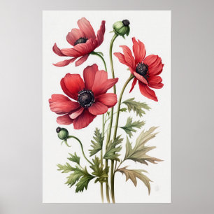 Red Anemone Flowers Art Print Poster