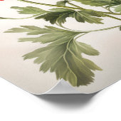 Red Anemone Flowers Art Print Poster (Hoek)